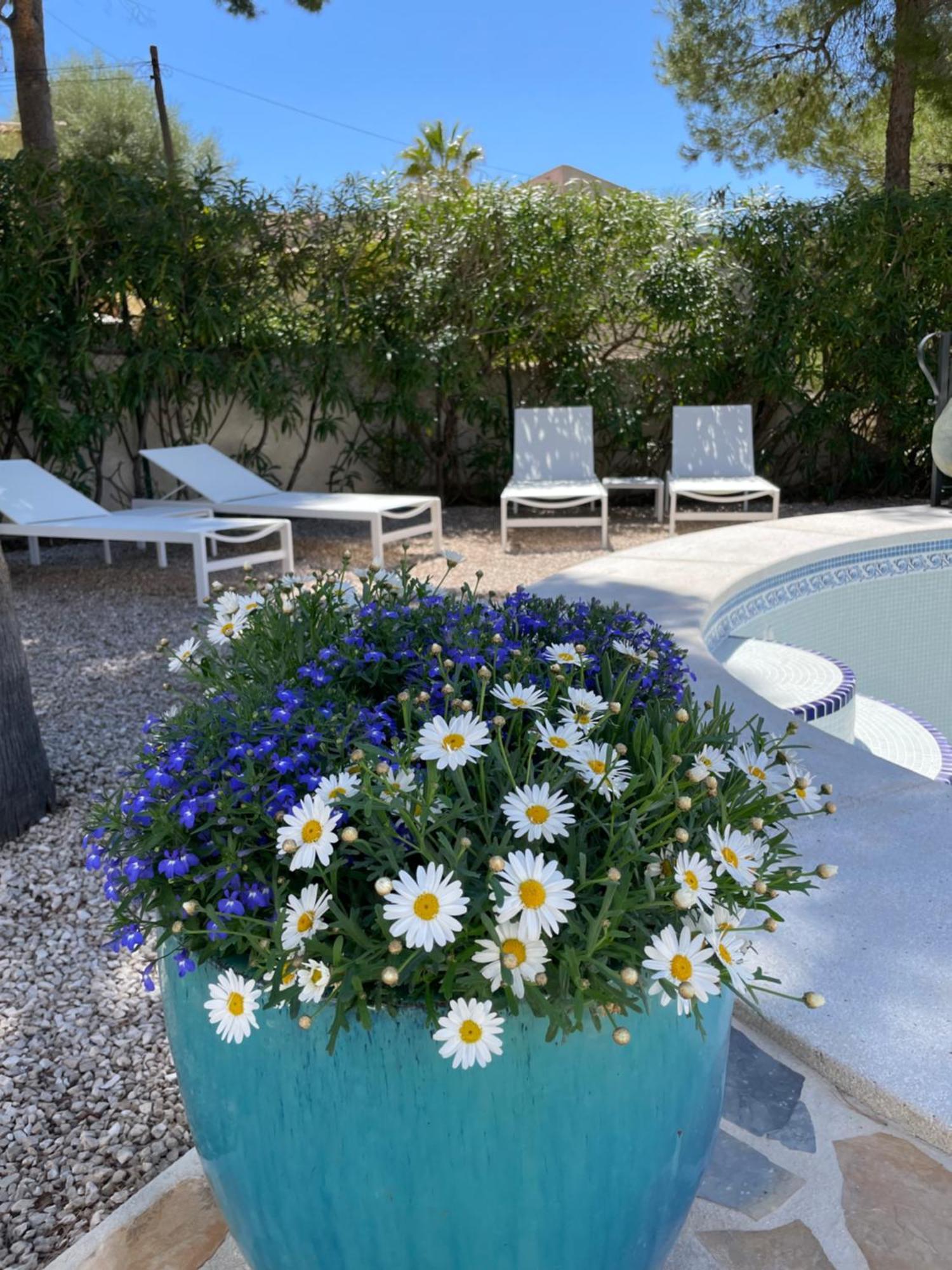 Casa Les Fremeaux Apartment อัลเตอา ภายนอก รูปภาพ